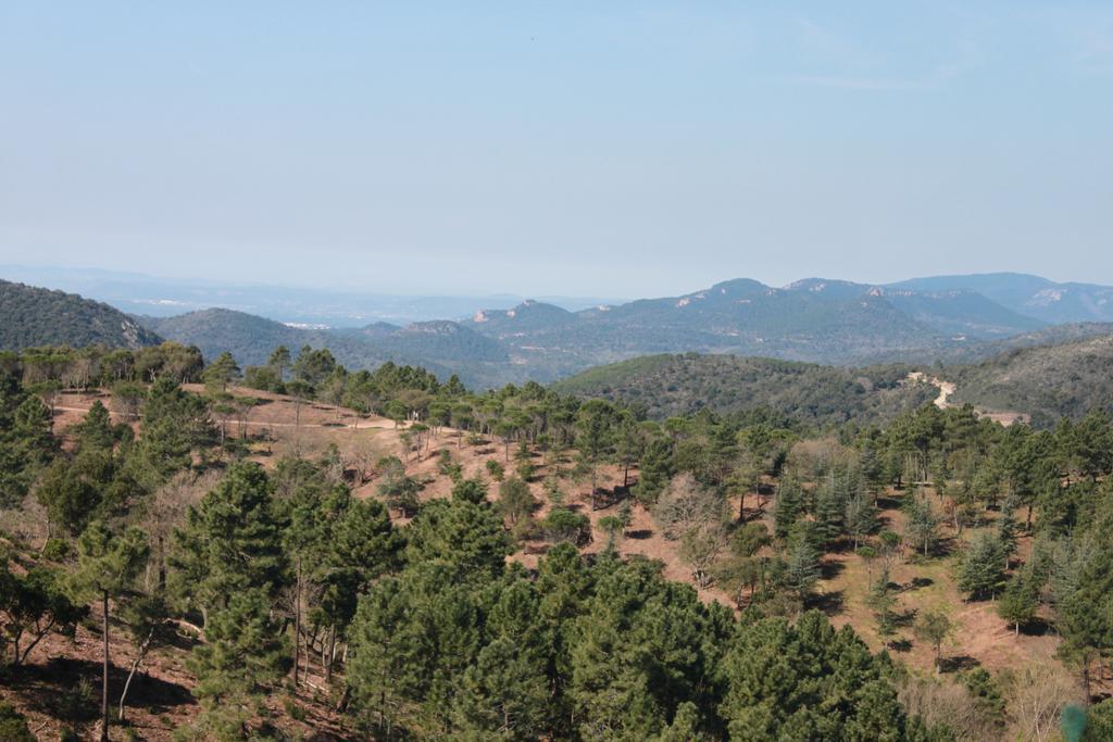 L'Estirado des Adrets Les Adrets-de-l'Esterel Exterior foto